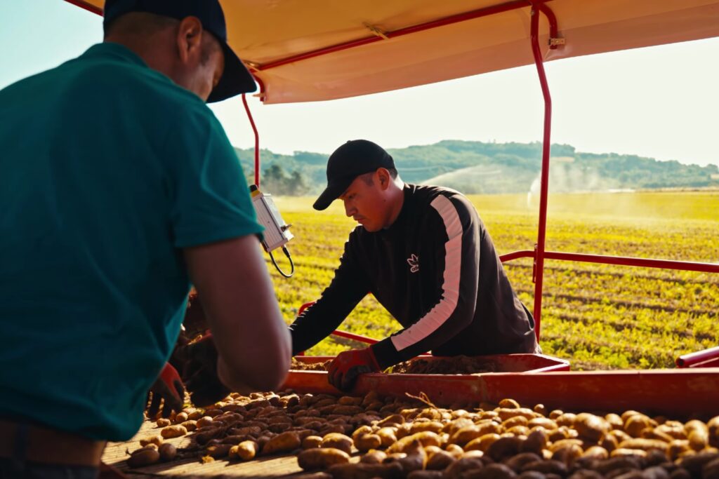 vidéos corporate arrachage pommes de terre BC